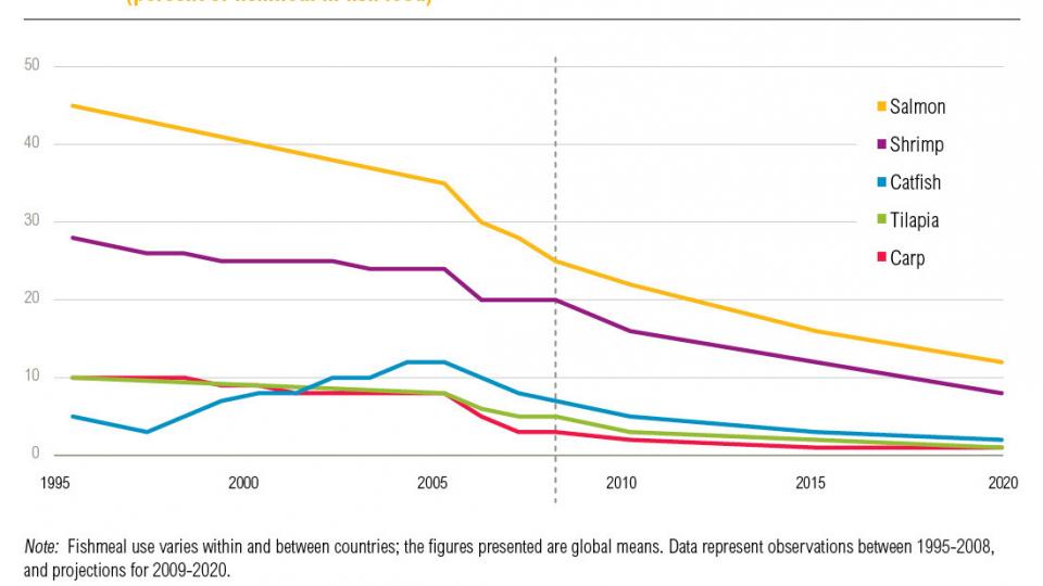 How Food Can Keep Up With The Growing Population How Food Can Keep Up With The Growing Population