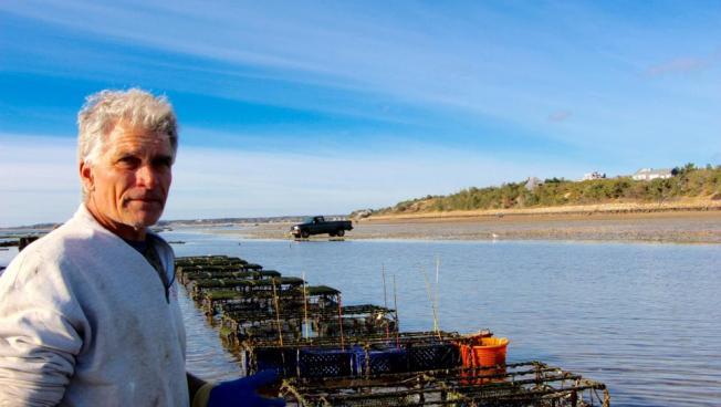 Watch Oyster Farmer Online