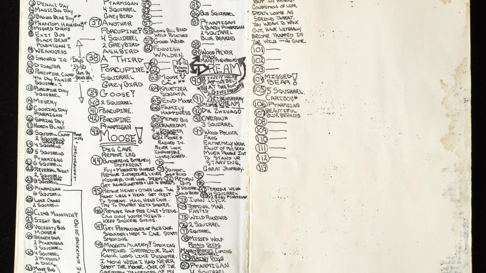 chris mccandless journal