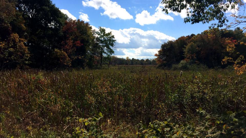 A Transcendental Utopia In West Roxbury? Yup, Welcome To Brook Farm ...